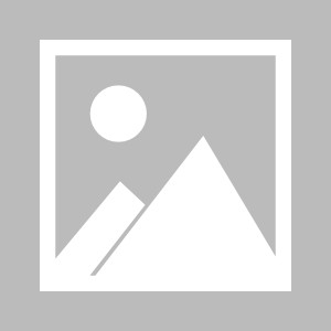 一竞技官网- 火箭申京成长为首发中锋，休斯顿重建稳步推进  